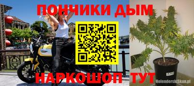 mdpv Камышлов