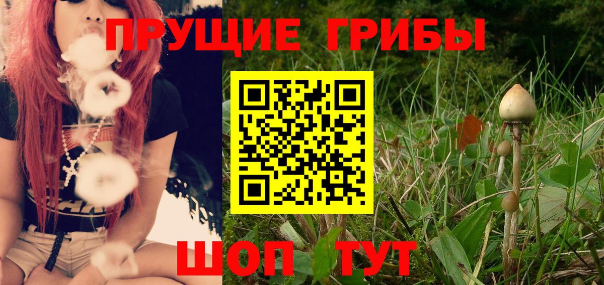 Тулун  Галлюциногенные грибы Psilocybe  Вход с VPN  Псилоцибиновые грибы Psilocybe 